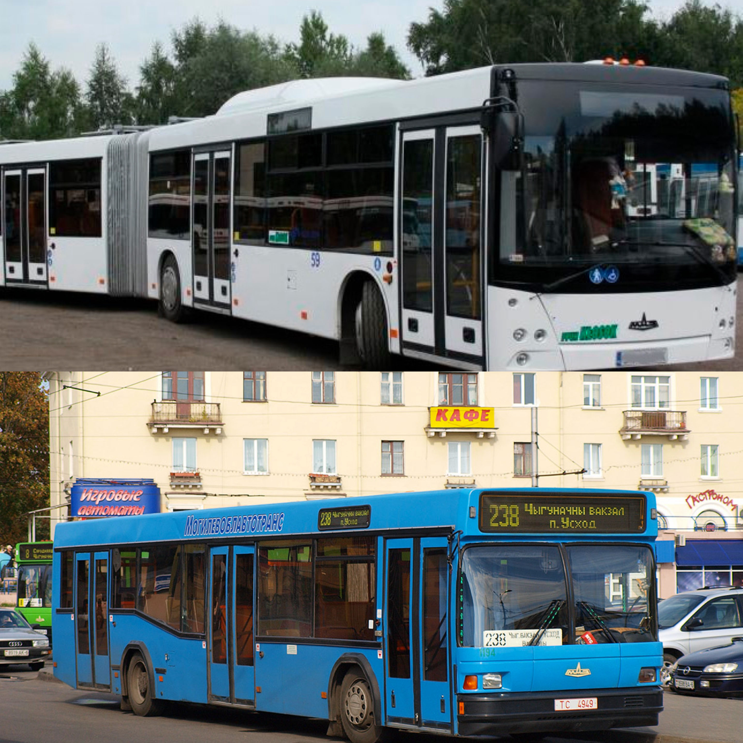 Низкопольные автобусы МАЗ в Могилеве